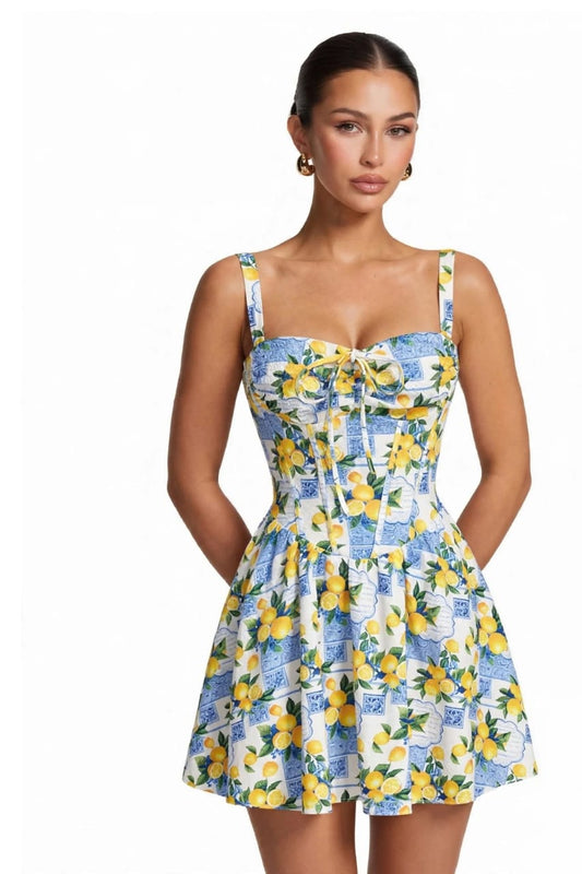 French Floral Belted A-Line Mini Dress